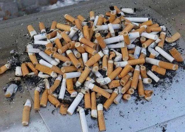 2023年烟头回收多少钱一斤（2023年烟头回收多少钱一斤呢）