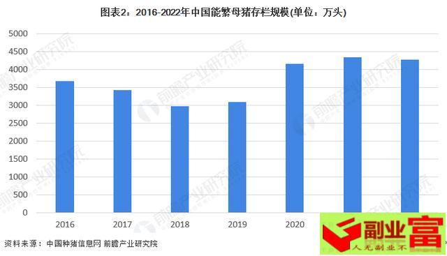 2023年养猪的前景分析（2023年中国生猪养殖市场供需现状分析_中生猪生产形势逐步好转）