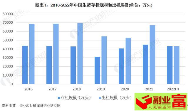 2023年养猪的前景分析（2023年中国生猪养殖市场供需现状分析_中生猪生产形势逐步好转）-副业富