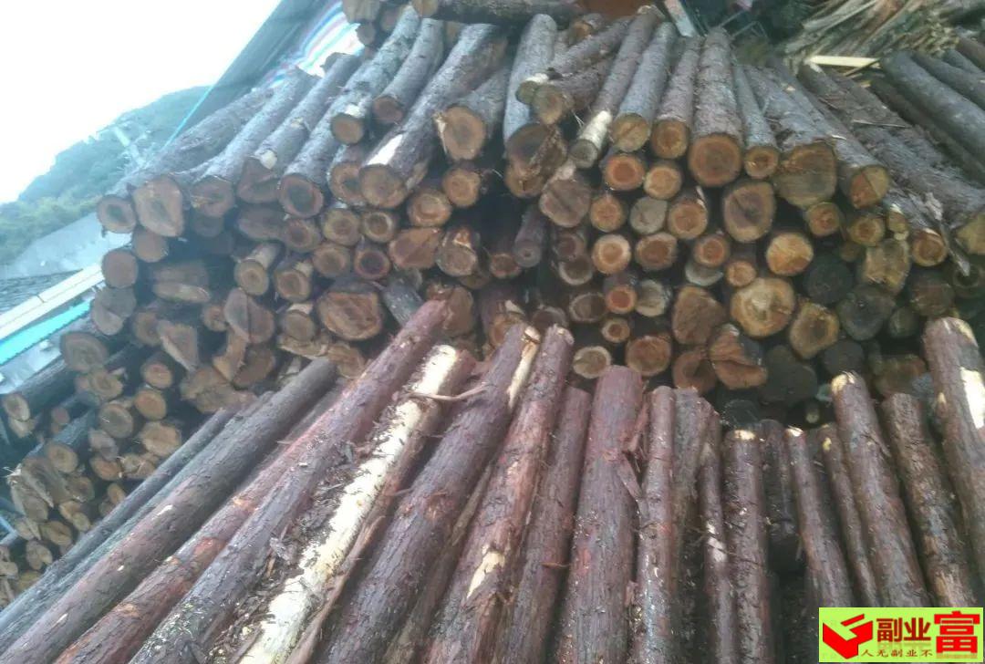 【乡源副业富】_2023-01-06_冷门创业项目：木方加工年赚几十万。